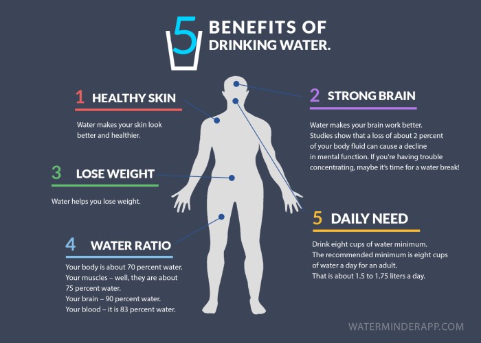 Benefits of drinking water daily