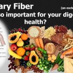 Importance of fiber for digestive health