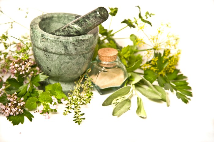 How to use herbal remedies for boosting immune system